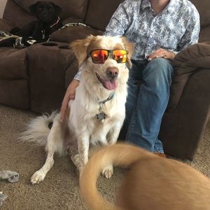 Meet your Posher, Misty